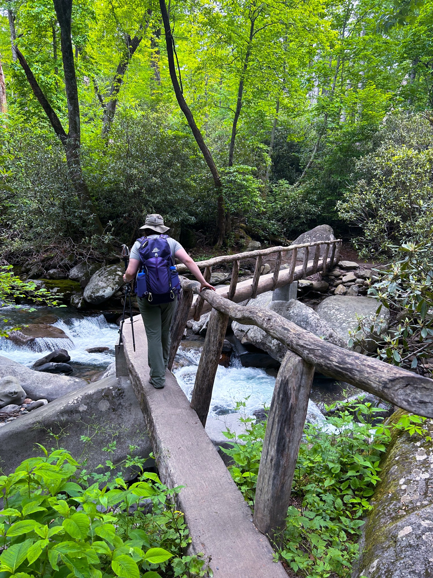 Julie walking across a bridge while hiking